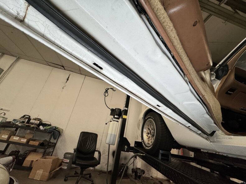 1980 Pontiac Firebird