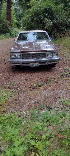 1979 Chevrolet Caprice