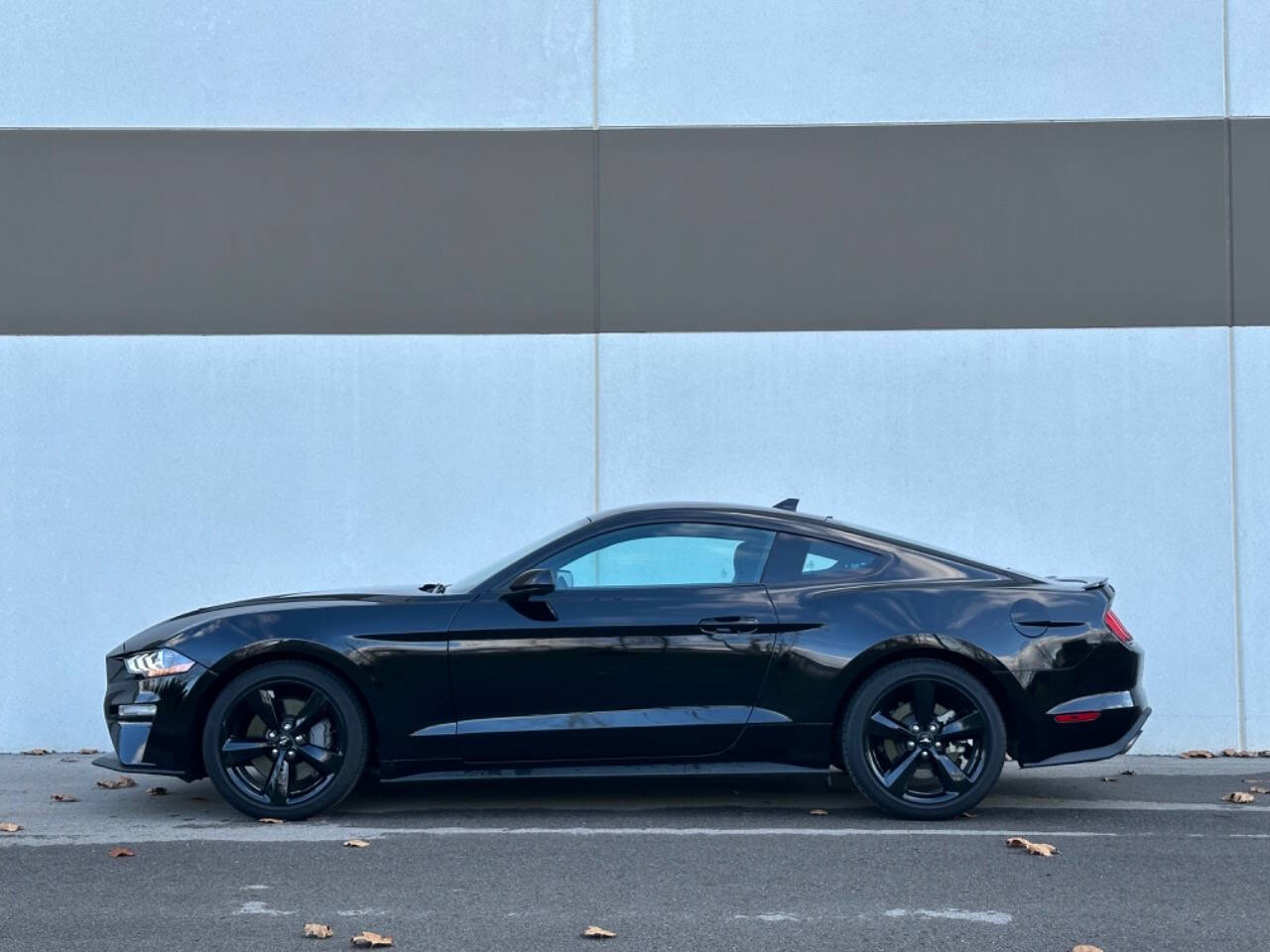 2022 Ford Mustang for sale at Phoenix Motor Co in Romulus, MI