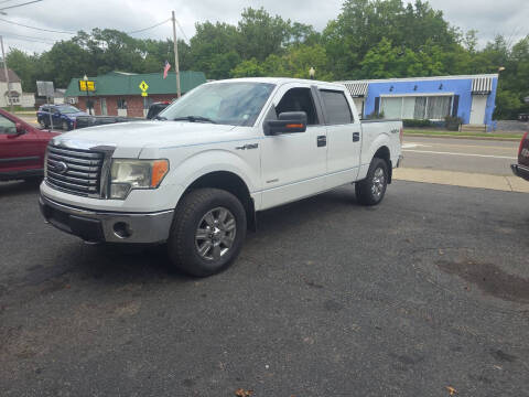 2011 Ford F-150 for sale at Maximum Auto Group II INC in Cortland OH