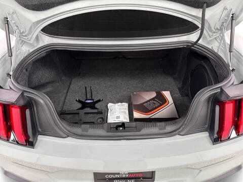 2021 Ford Mustang Mach 1