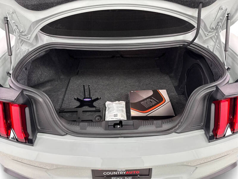 2021 Ford Mustang Mach 1