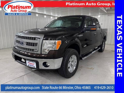 2013 Ford F-150 for sale at Platinum Auto Group Inc. in Minster OH