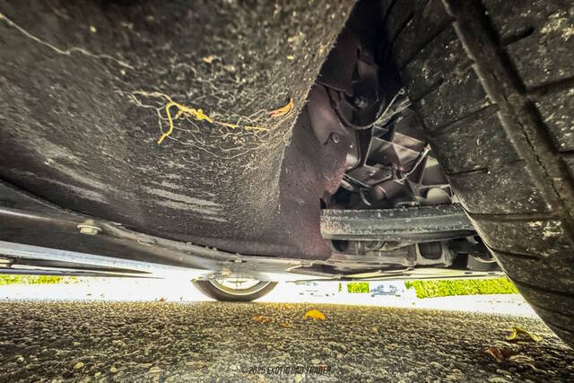 2015 Aston Martin DB9 Volante