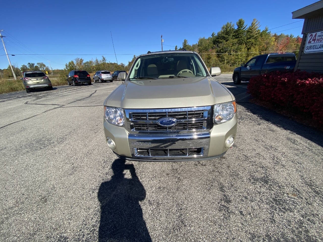 2012 Ford Escape for sale at Galvanek's in Cadillac, MI