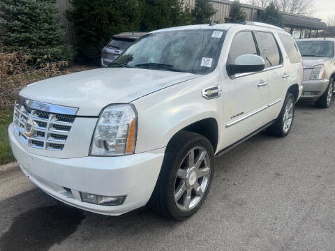 2011 Cadillac Escalade Hybrid for sale at Steve's Auto Sales in Madison WI