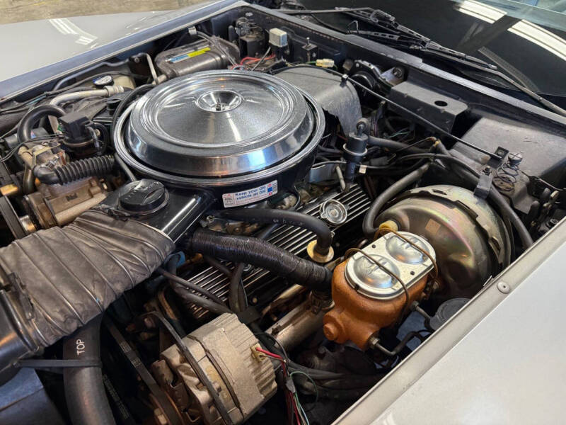 1981 Chevrolet Corvette