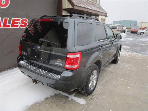 2008 Ford Escape XLT