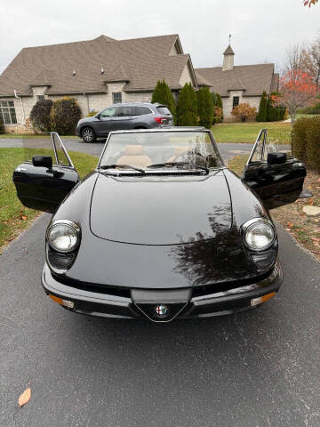 1988 Alfa Romeo Spider Graduate