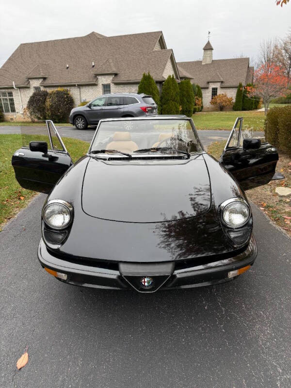 1988 Alfa Romeo Spider Graduate