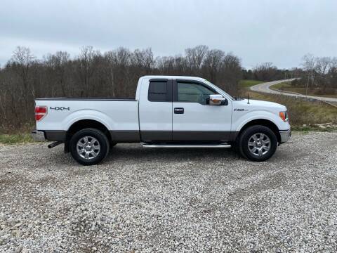2011 Ford F-150 for sale at Skyline Automotive LLC in Woodsfield OH