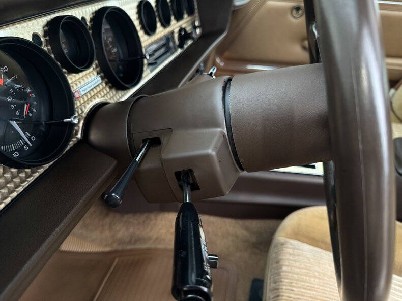 1981 Pontiac Firebird Trans Am