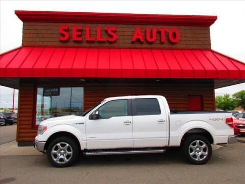 2014 Ford F-150 for sale at Sells Auto INC in Saint Cloud MN