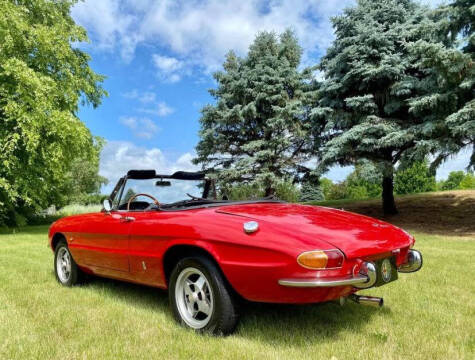 1967 Alfa Romeo Spider