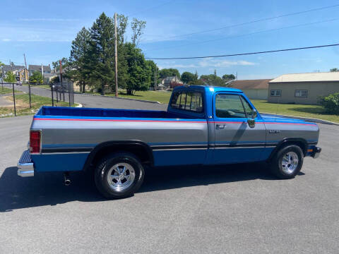 1992 Dodge RAM 150 LE
