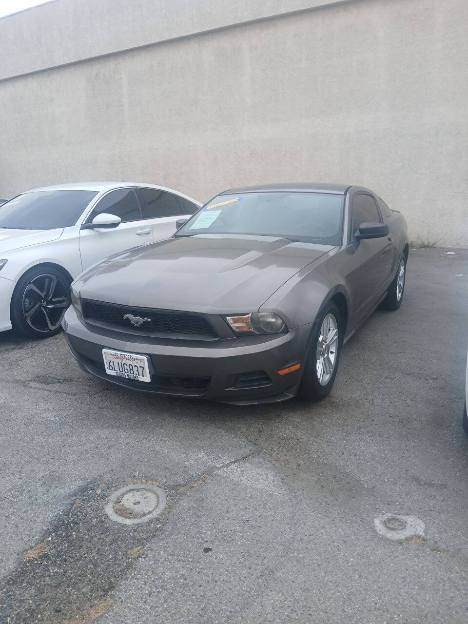 Gray 2010 Ford Mustang V6 V6 2dr Fastback 1