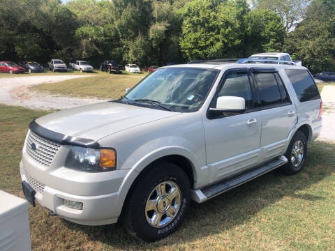 2006 Ford Expedition for sale at R.E.D. Auto Sales LLC in Joplin MO