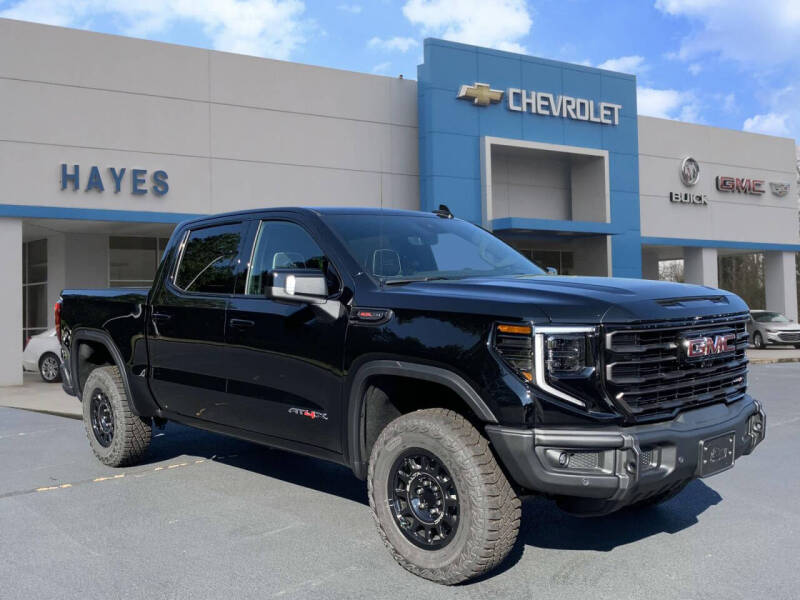 2024 GMC Sierra 1500 for sale at HAYES CHEVROLET Buick GMC Cadillac Inc in Alto GA