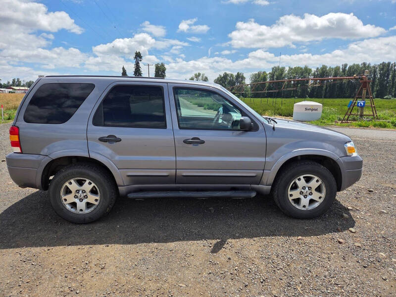 2007 Ford Escape XLT