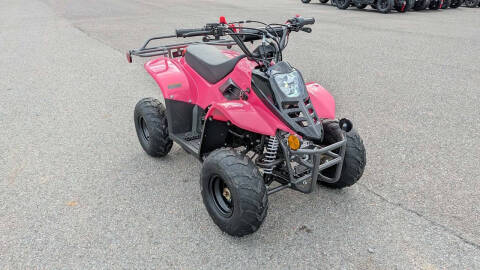 2024 TrailMaster Mini 110 Sport