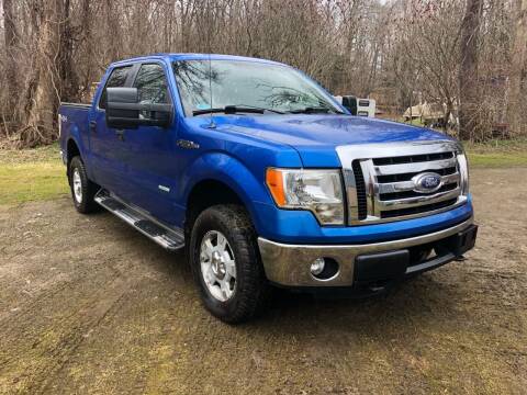2012 Ford F-150 for sale at Rodeo City Resale in Gerry NY