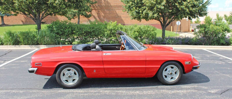 1971 Alfa Romeo Spider