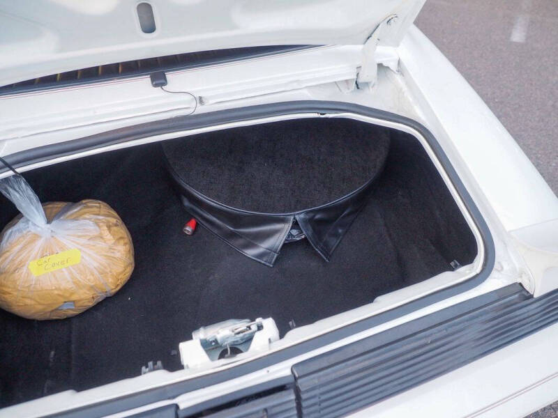 1981 Pontiac Firebird Trans Am