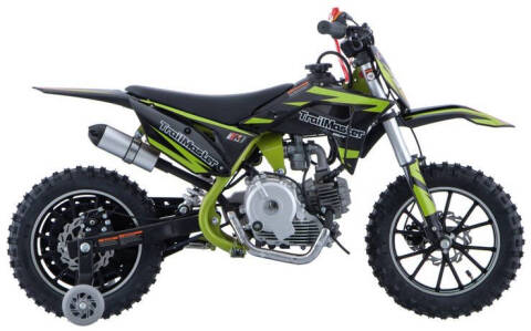 2025 TrailMaster 156cc TMO6-60