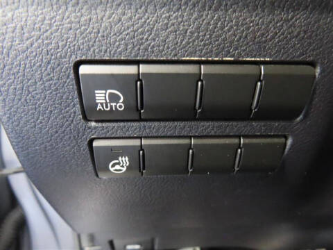 2019 Lexus NX 300 F SPORT