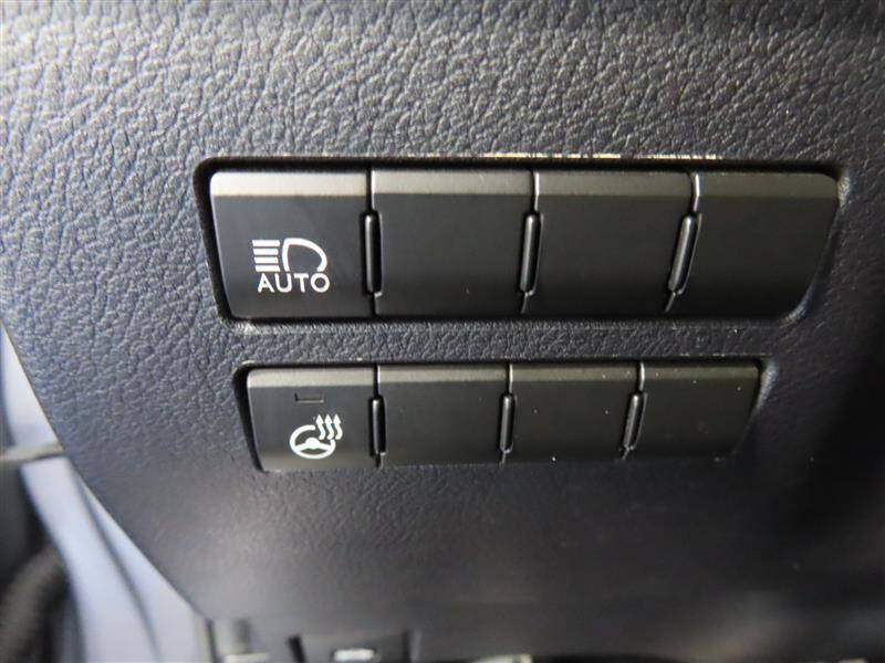 2019 Lexus NX 300 F SPORT