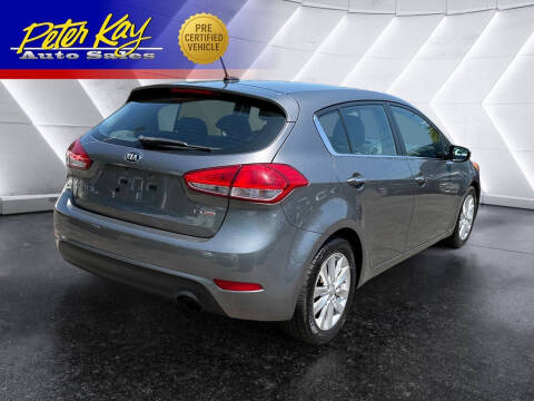 2015 Kia Forte5 EX