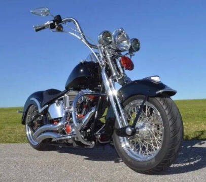 2002 Harley-Davidson FLSTS Heritage Springer