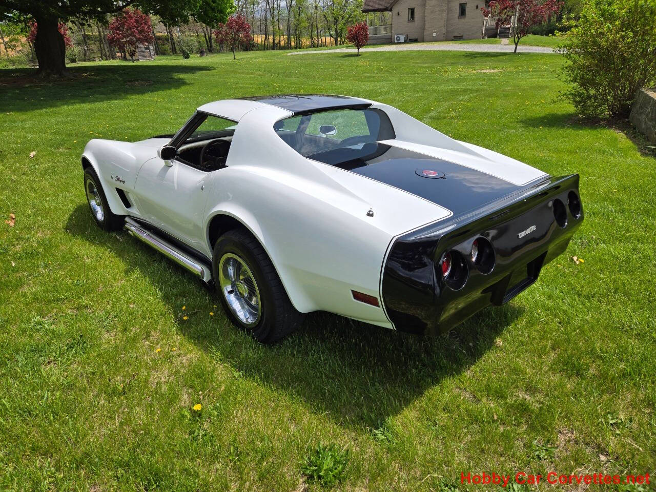 1976 Chevrolet Corvette 9