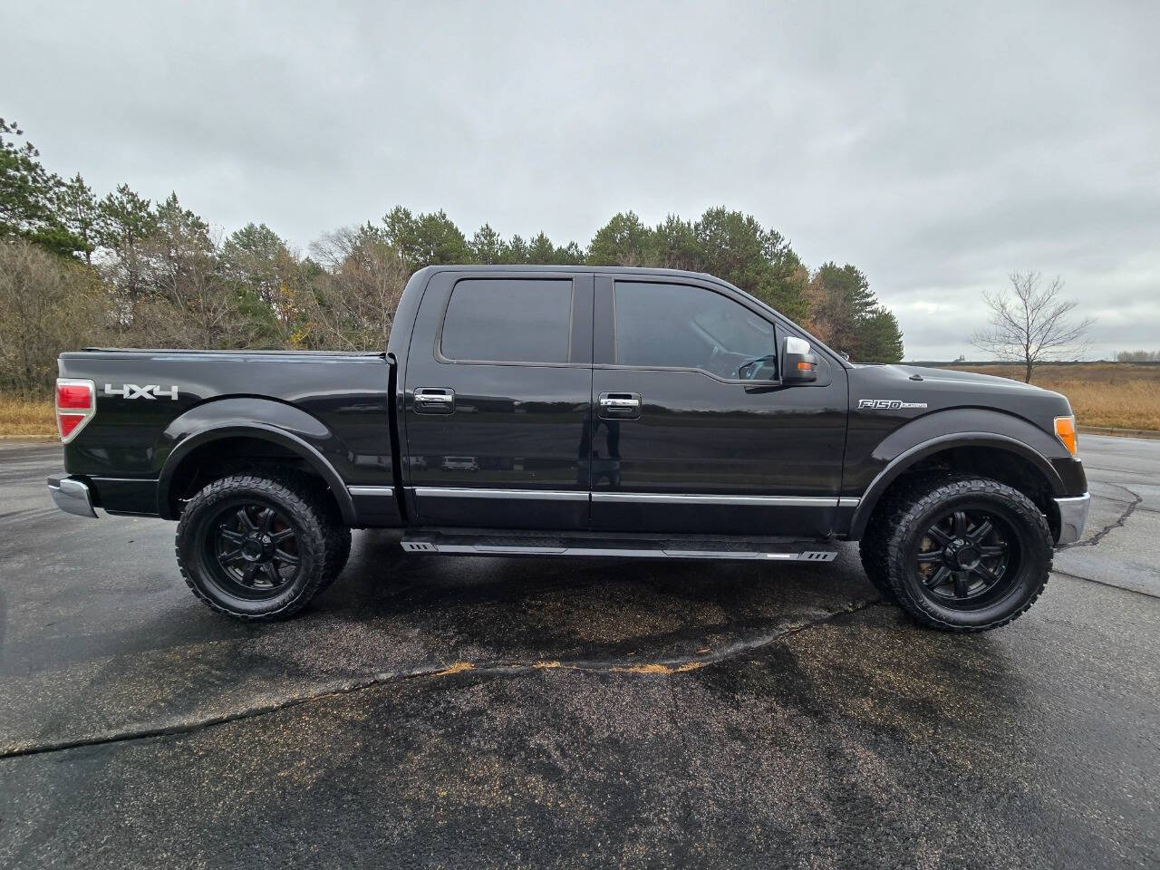 2010 Ford F-150 for sale at Dedicated Auto Sales Inc in Elk River, MN