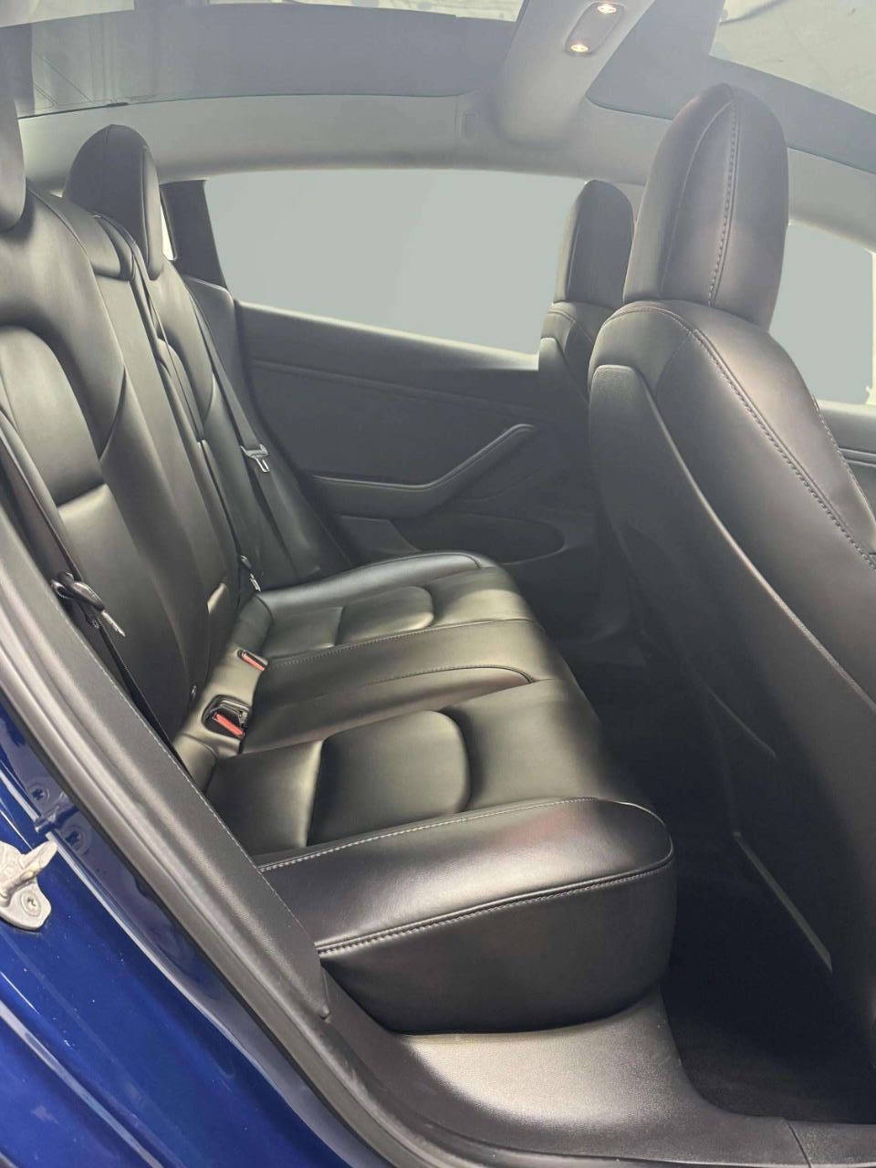 2019 Tesla Model 3 Standard Range 4dr Fastback - Blue exterior view 8