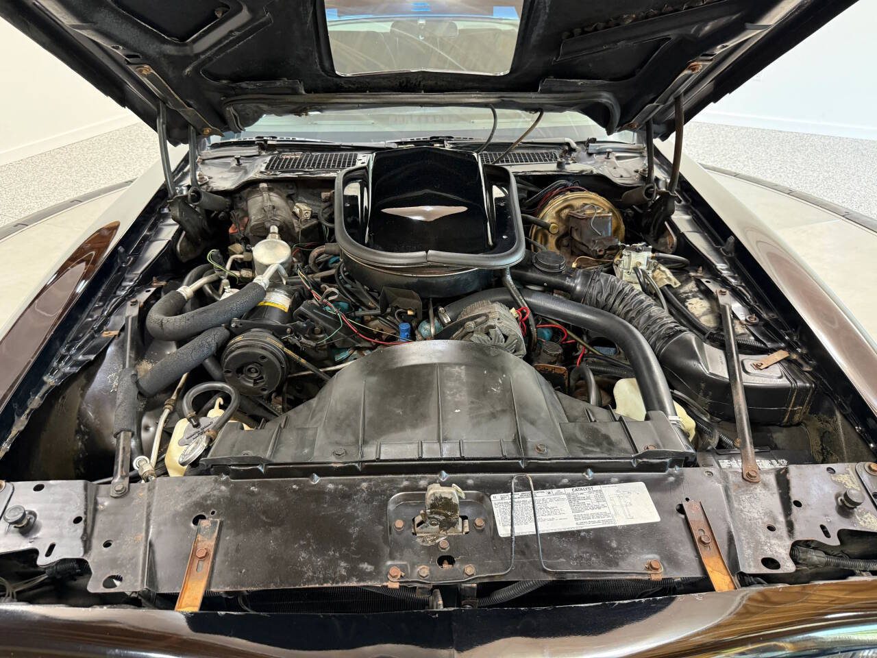 1978 Pontiac Trans Am 48