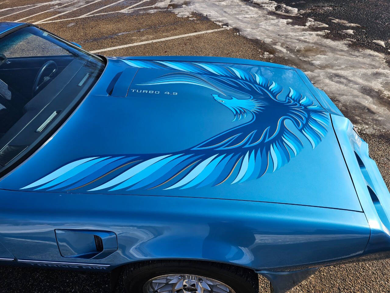 1980 Pontiac Firebird Trans Am 197