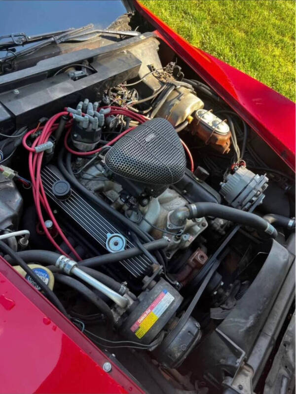 1981 Chevrolet Corvette