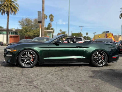 2019 Ford Mustang