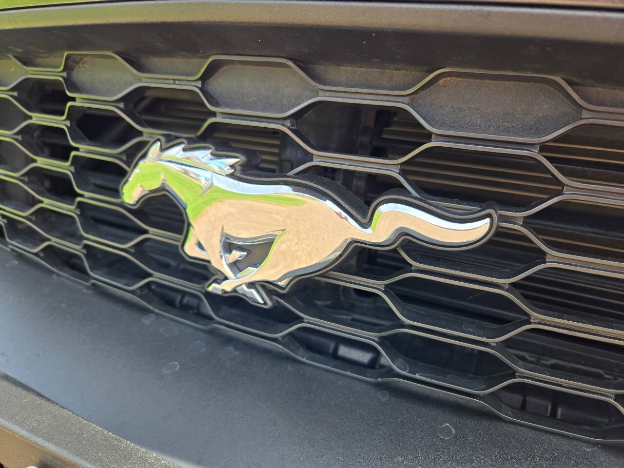 2019 Ford Mustang 25