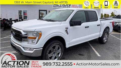 2021 Ford F-150 for sale at Action Motor Sales in Gaylord MI