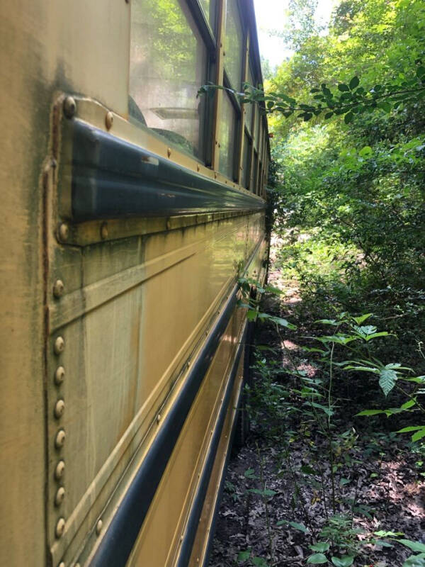 2001 International 3000IC