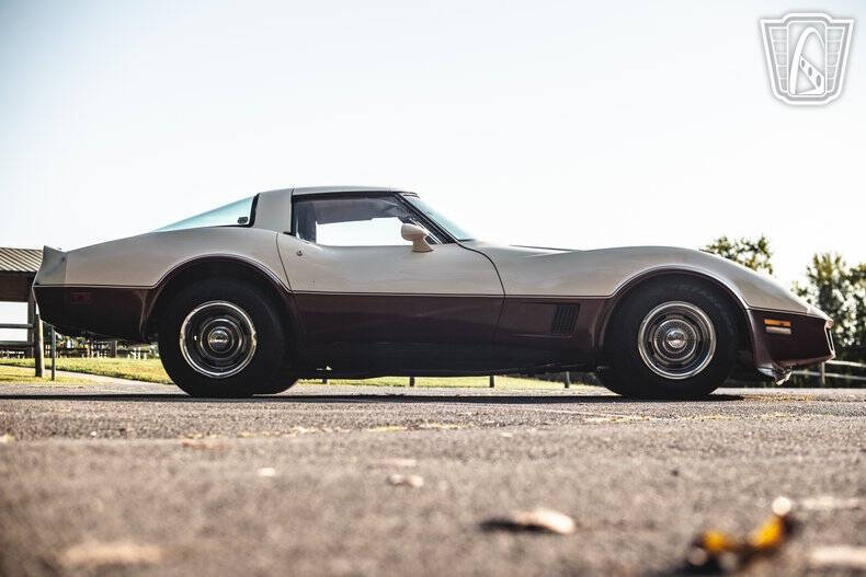 1981 Chevrolet Corvette
