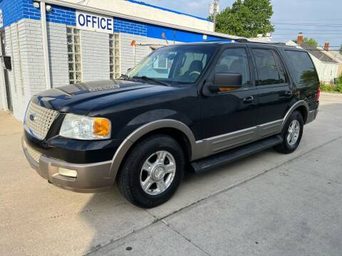 2003 Ford Expedition for sale at METRO CITY AUTO GROUP LLC in Lincoln Park MI