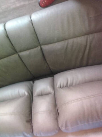 2025 Forest River Aurora