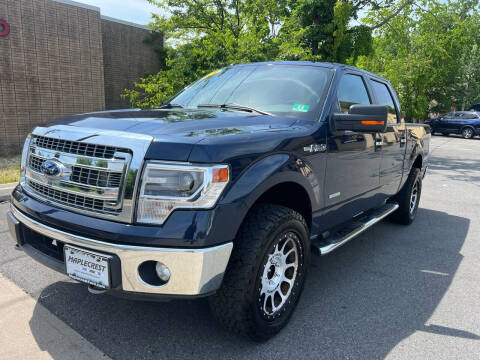 2014 Ford F-150 for sale at Sam's Auto in Lodi NJ