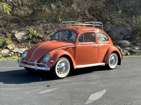 1957 Volkswagen Beetle