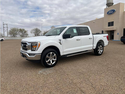 2023 Ford F-150 for sale at STANLEY FORD ANDREWS in Andrews TX