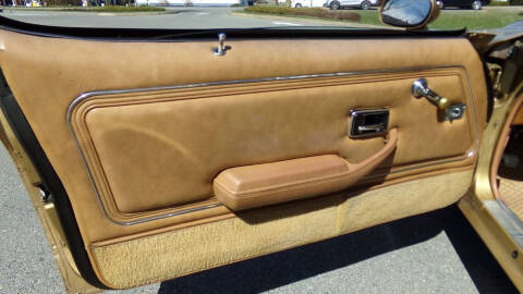 1980 Pontiac Firebird Trans Am