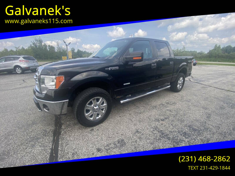 2013 Ford F-150 for sale at Galvanek's in Cadillac MI